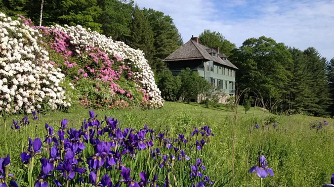 Image: Naulakha Estate and Rhododendron Tour