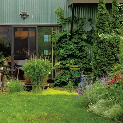 Image: Nest &mdash; Summer 2025