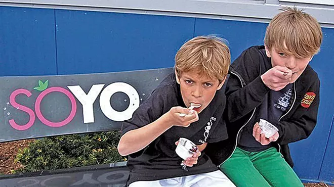 Image: New World Tortilla Acquires SoYo Frozen Yogurt