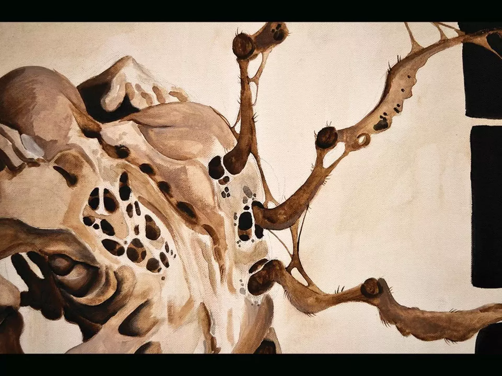 Artwork by Nico Allard-Krause