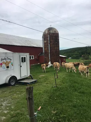 Image: Open Farm Tour and Gelato Tasting