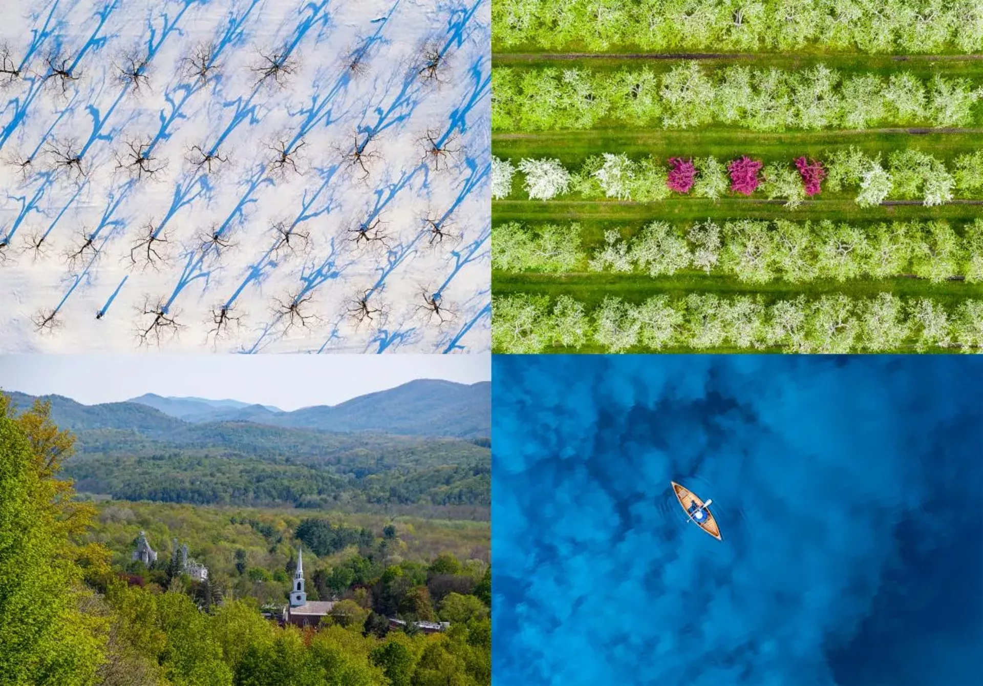 Composite of images by Caleb Kenna