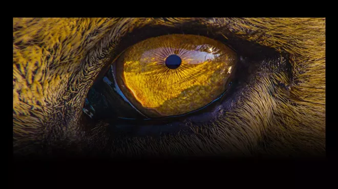 Image: 'Our Planet Live'