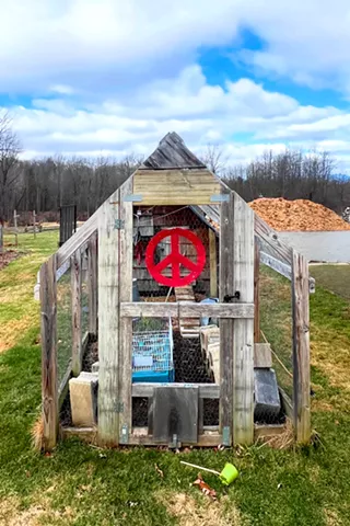Image: 'Peace Signs of Vermont'