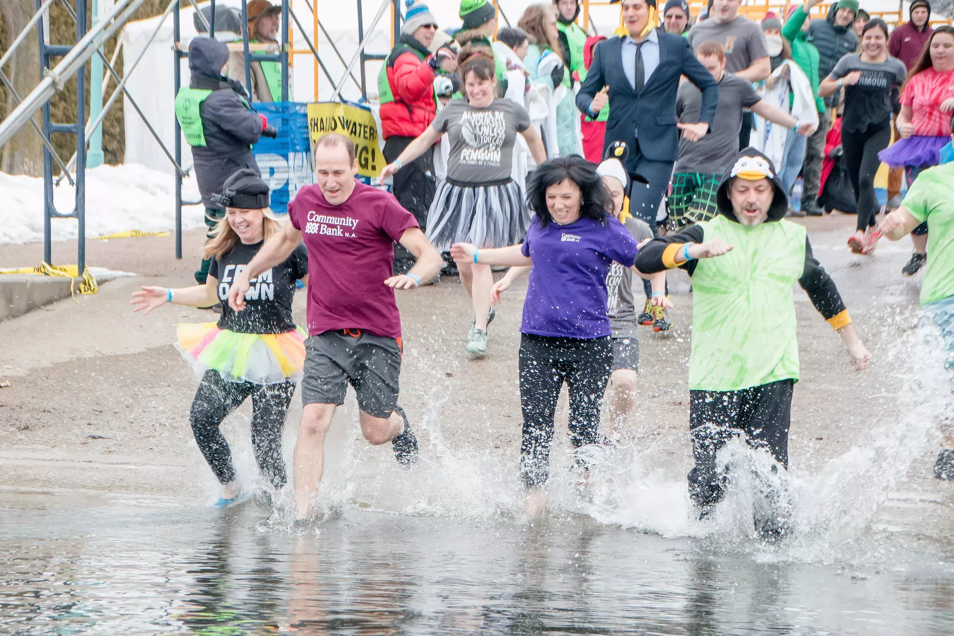 penguin_plunge_courtesy_of_h.l._glenn_photography.webp