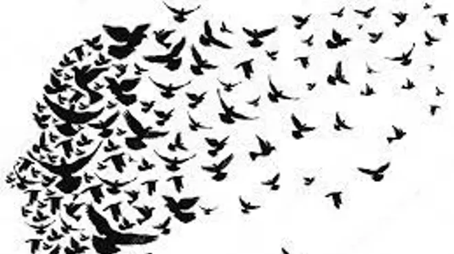 Image: 'Piecing Together Art'