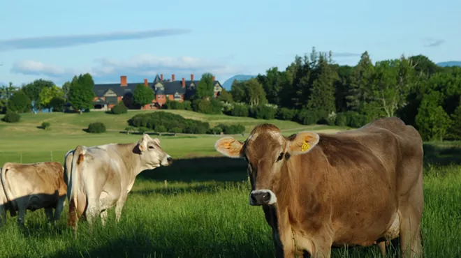 Image: Pride Hikes: Shelburne Farms