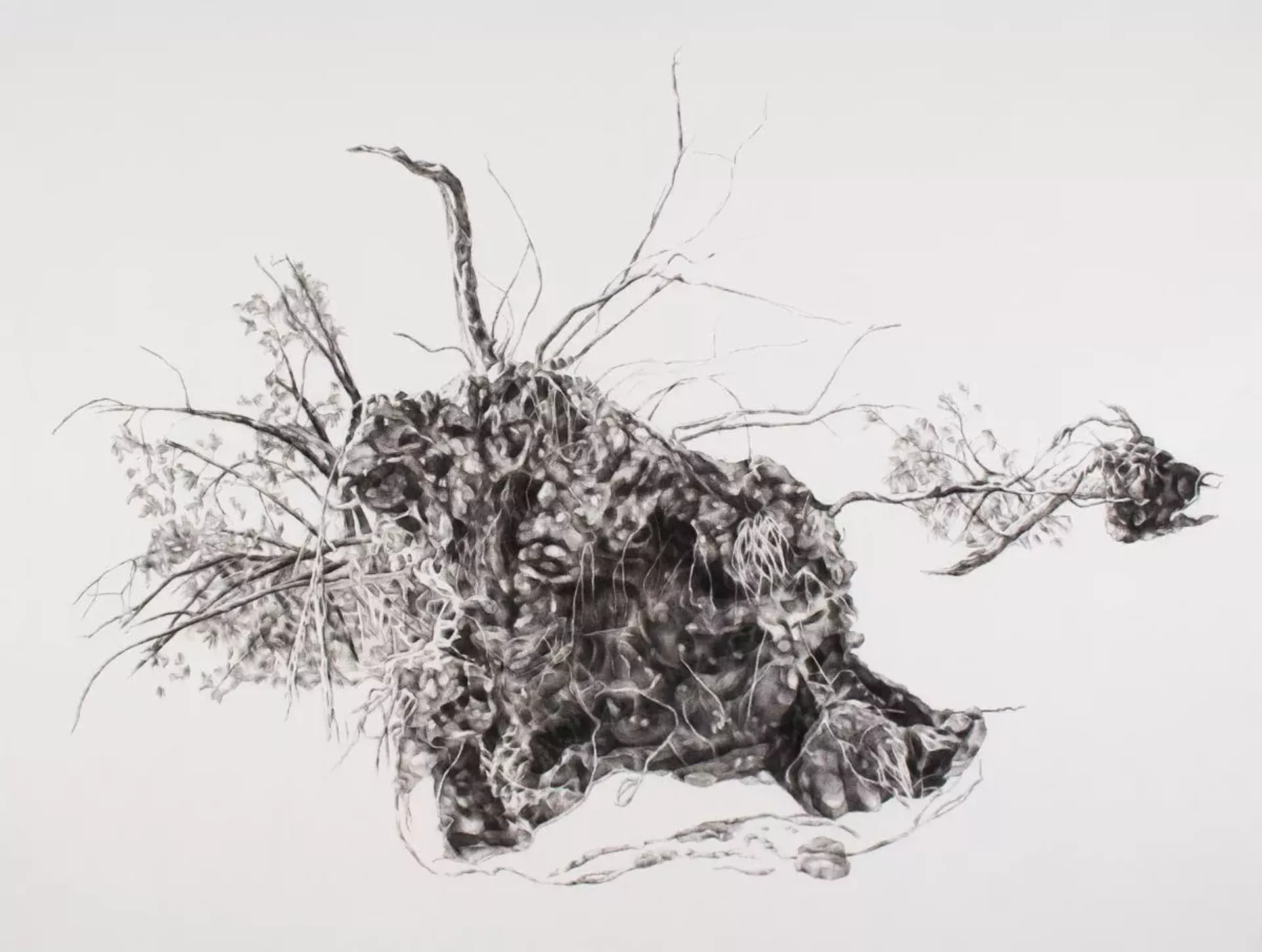 "Uproot III" by Julie Comnick