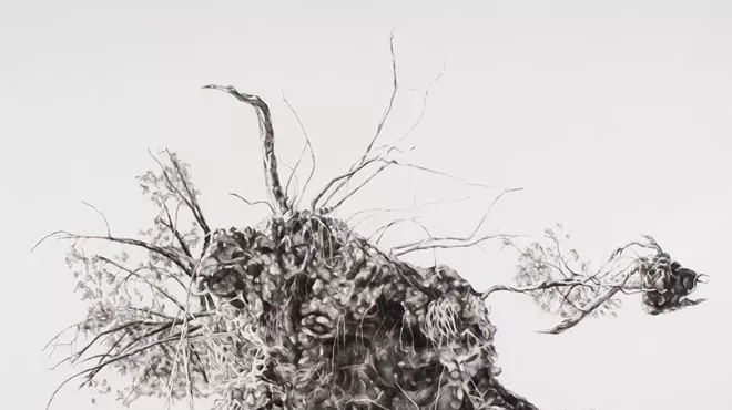Image: 'Rise: Trees, Our Botanical Giants'