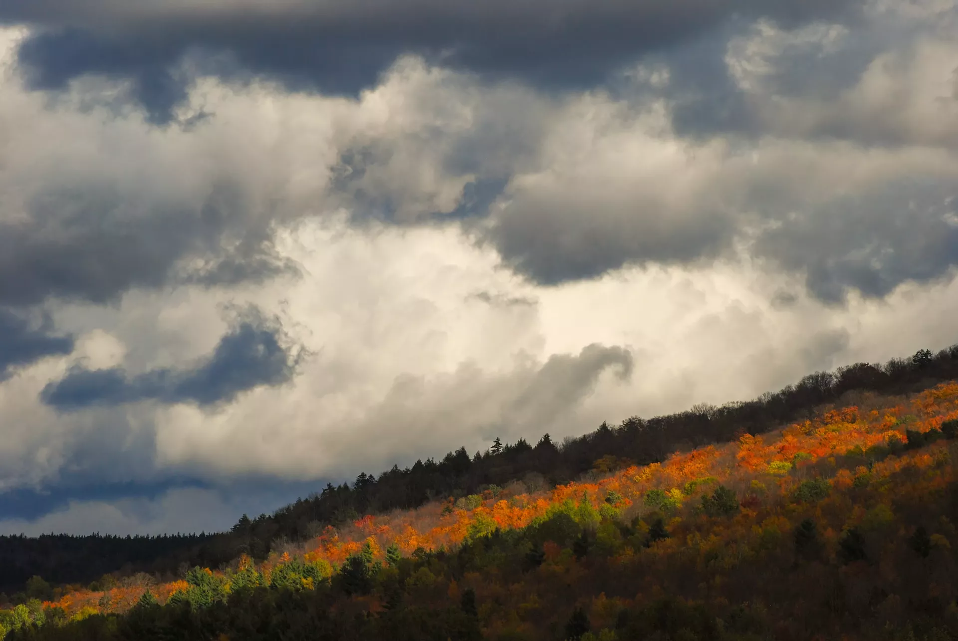 Photograph by Robert Fahey