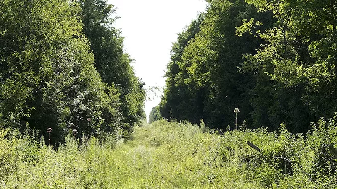 Image: 'Roxham Road'