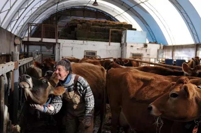 Rural Vermont: Farmers Sold 53,000 Gallons of Raw Milk