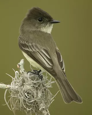 Image: Rutland County Audubon Annual Meeting
