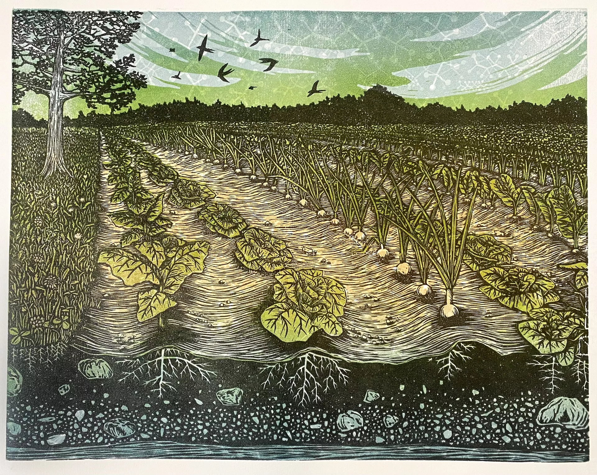 Artwork by Sarah Koff