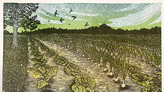 Image: Sarah Koff