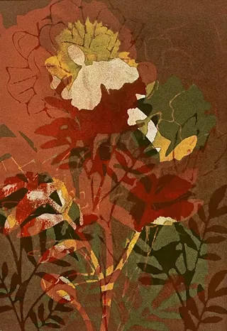 Image: Sheri Hancock-Tomek