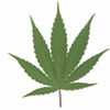 Shocker: Vermonters Favor Marijuana Legalization