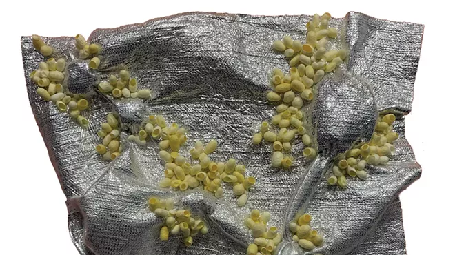 Image: Siglinde Langholz Makes Art With Silkworms at St. Mike's