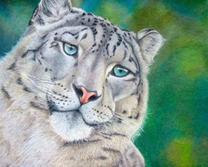 COURTESY OF CORRINA THURSTON - "Snow Leopard"
