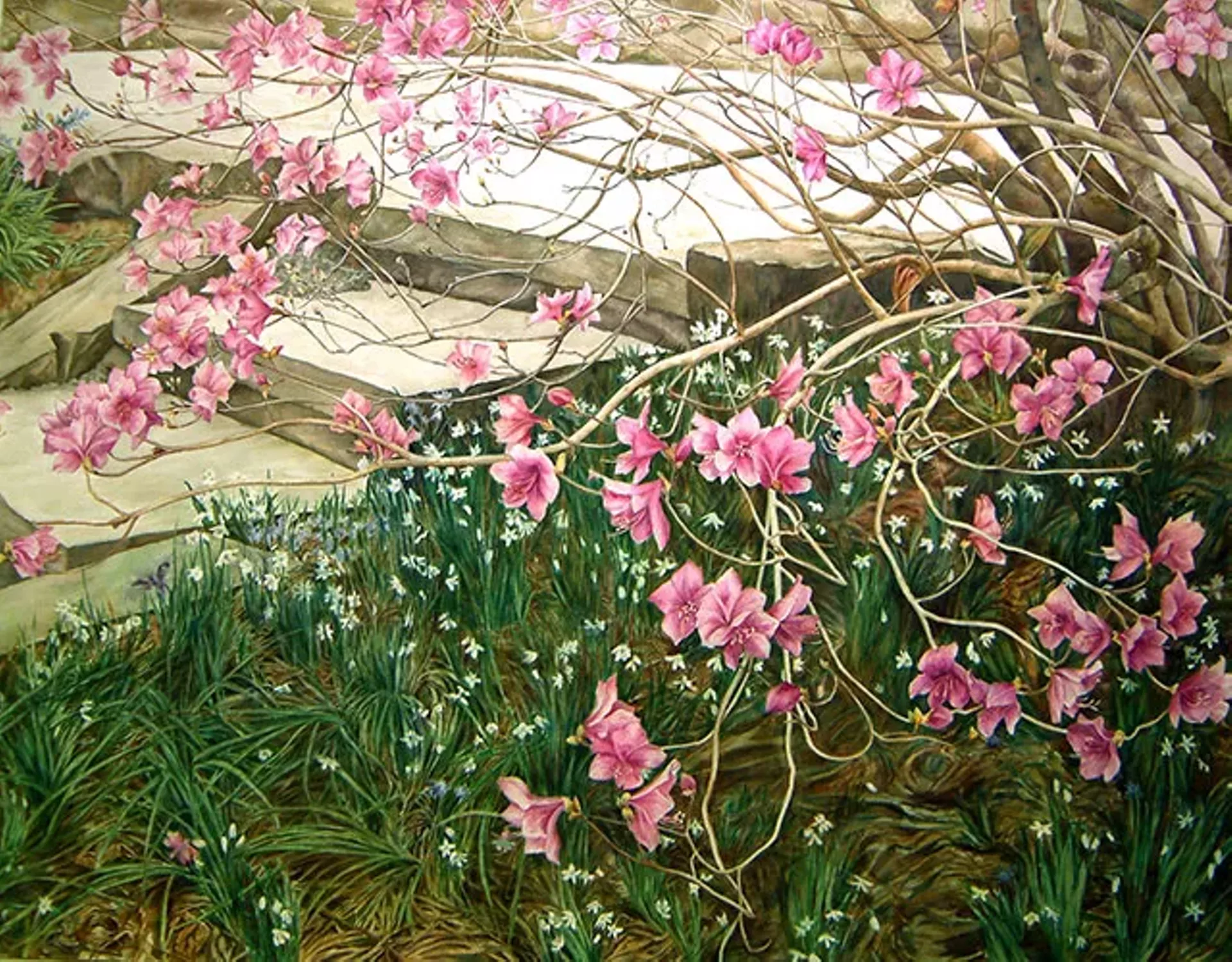 "Azalea" by Kim Eng Yeo