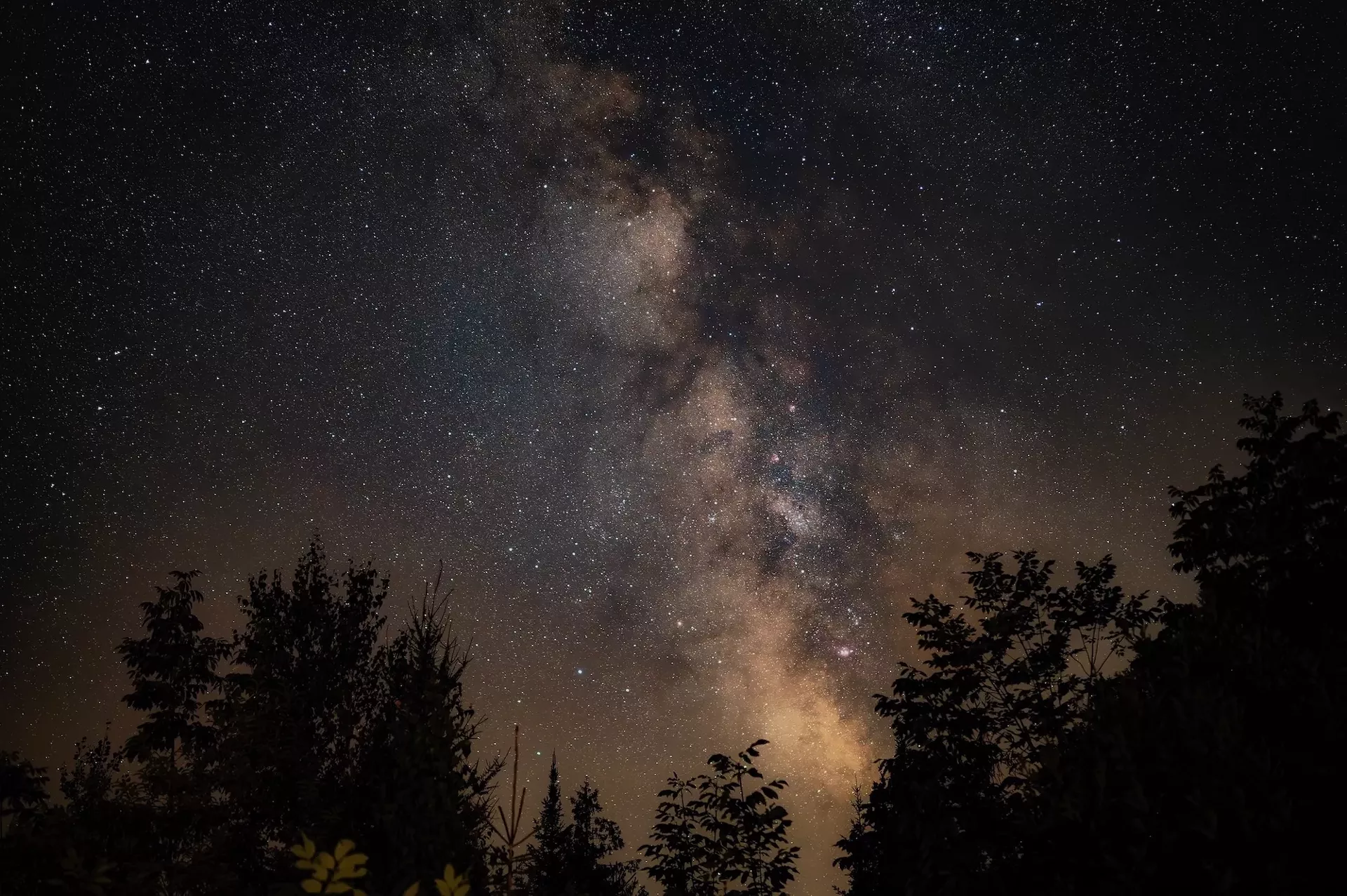 Photograph by Josh Kuckens