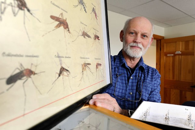 State entomologist Alan Graham with mosquito samples in his Berlin office - JEB WALLACE-BRODEUR