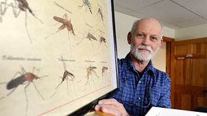 State entomologist Alan Graham with mosquito samples in his Berlin office