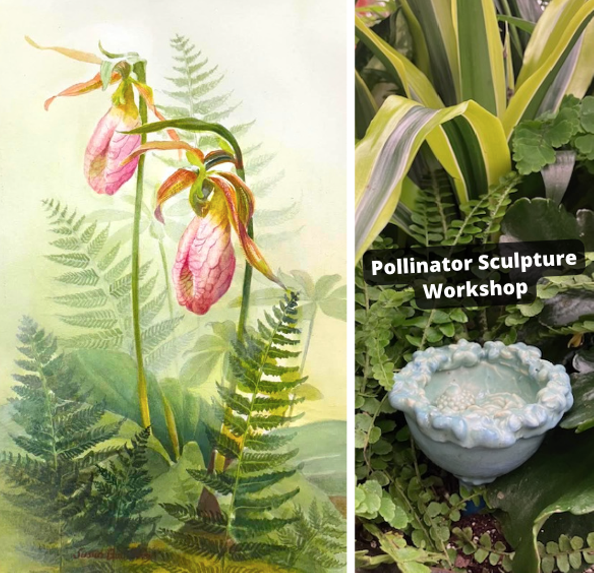 "Lady Slippers" by Susan Bull Riley