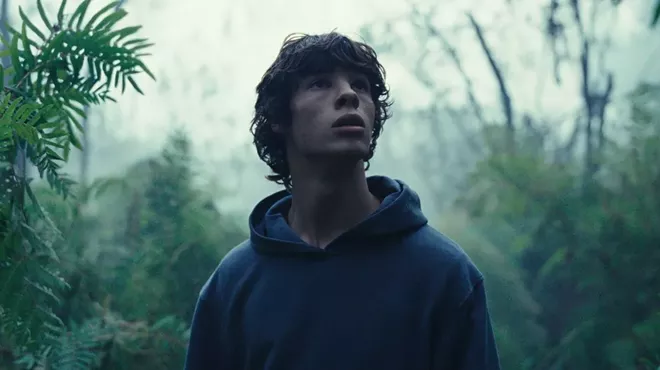 Image: 'The Animal Kingdom'
