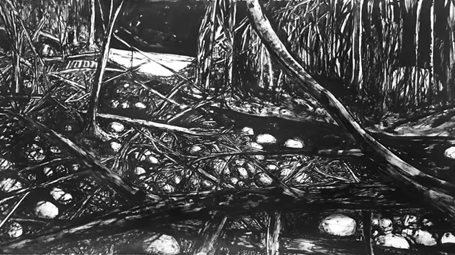 Image: 'The Call of the Loon'