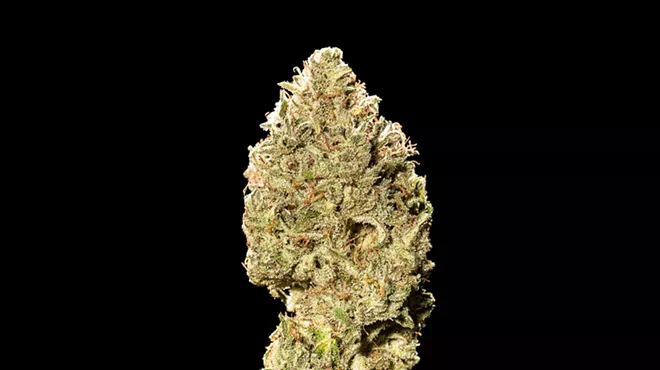 Image: The Headies: Vermont Growers Cup