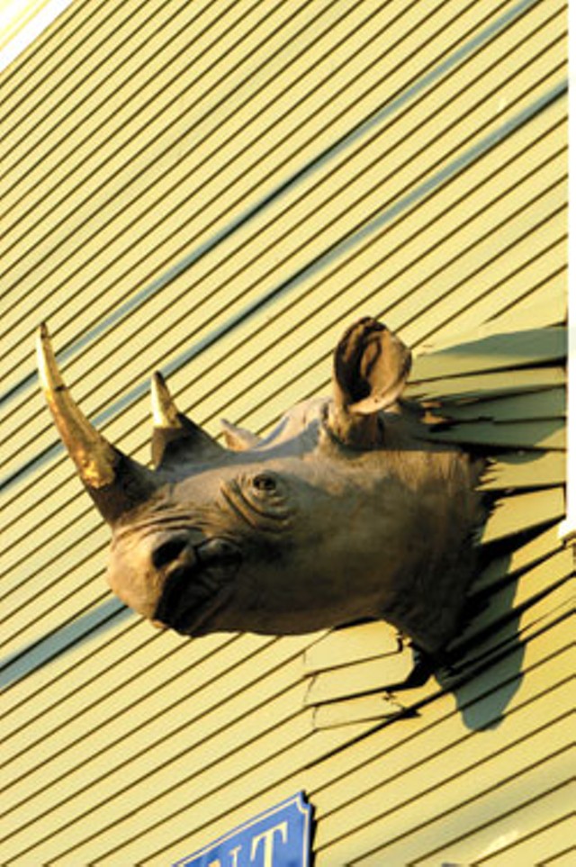 The rhino at Conant Metal & Light - MATTHEW THORSEN