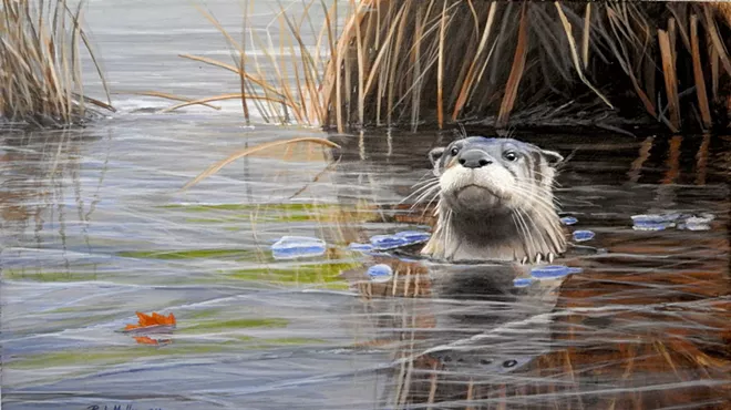 Image: 'The Voyage of the Artful Otter'