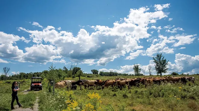 Image: The Whey Forward: How the Pandemic Has Reshaped Vermont&rsquo;s Farmstead Cheese Industry