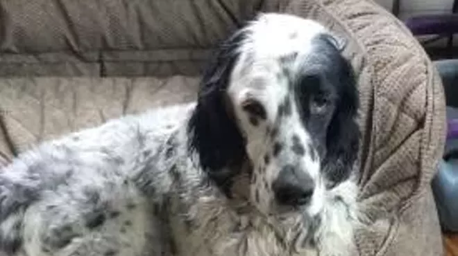 Image: Therapy Dog Mick Visit