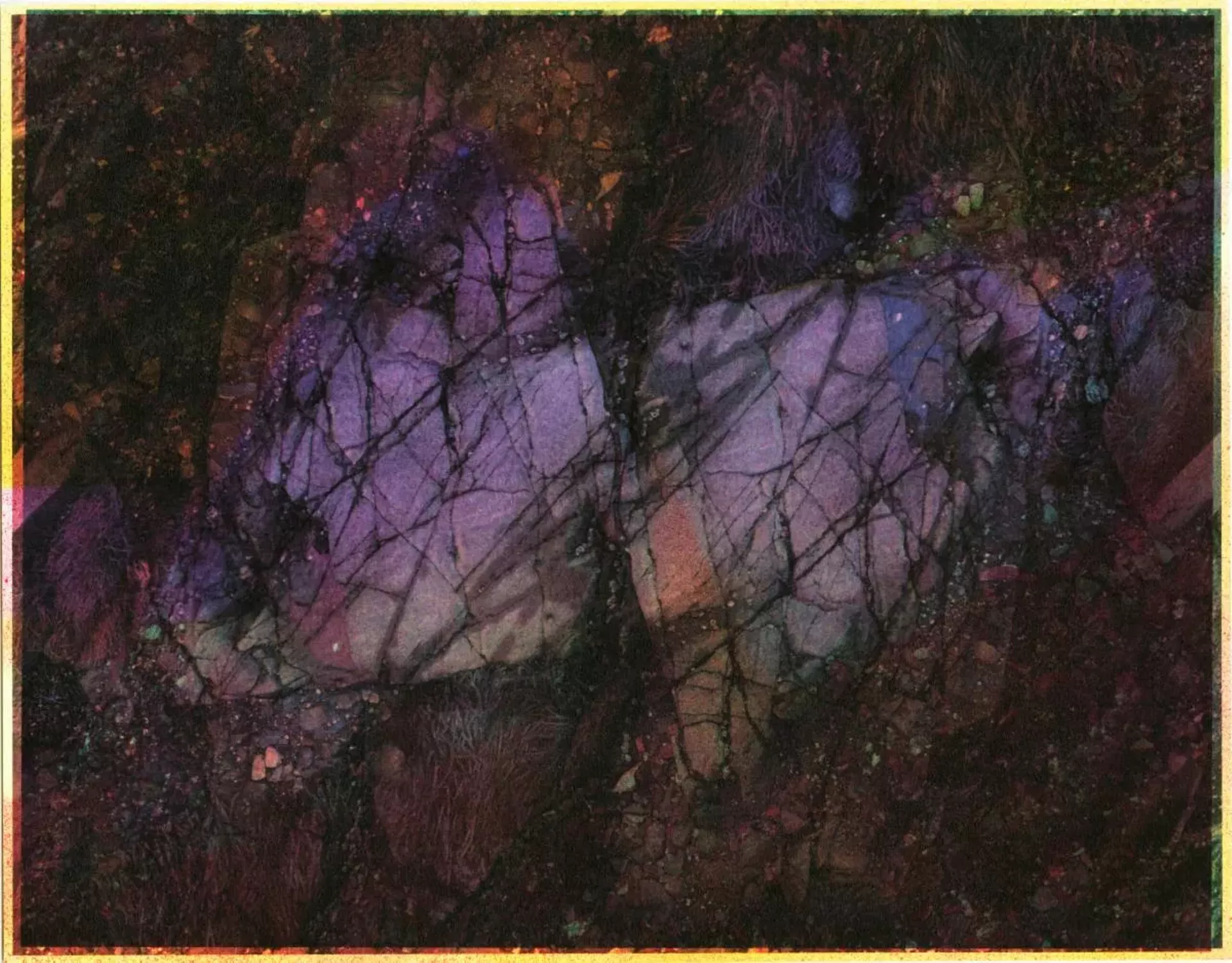 "Spectral Viewer" by Sage Lewis