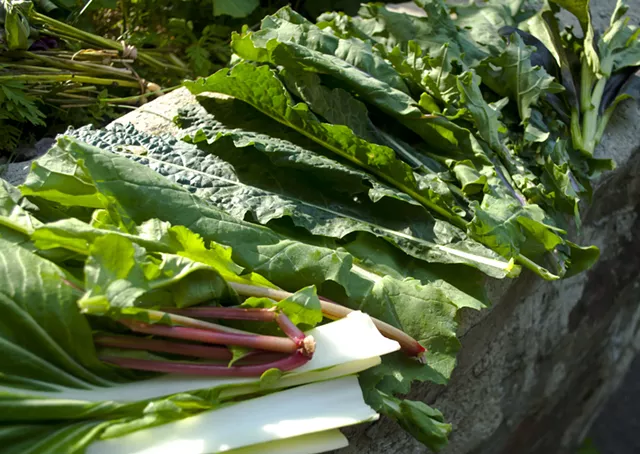 Farmers Market Kitchen: Kale Bird's Nests