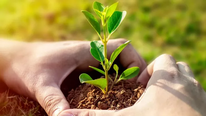 Image: Tree Planting Demonstration