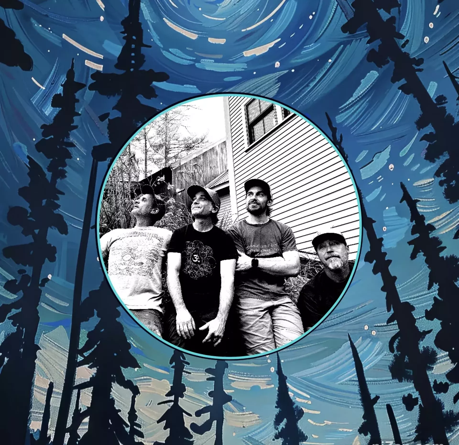 The Shady Trees