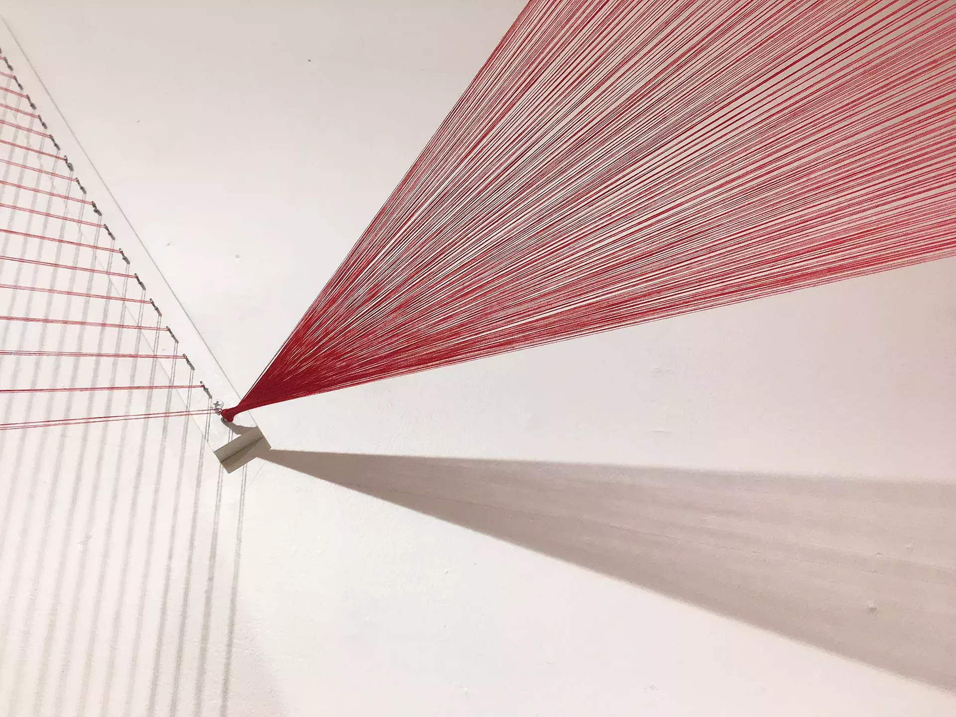 Installation by Tuyen My Nguyen