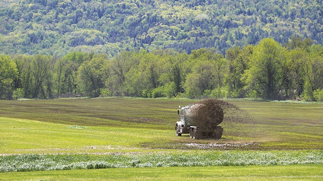Lake Advocates Say Vermont Has Botched Regulating Pollution on Dairy Farms