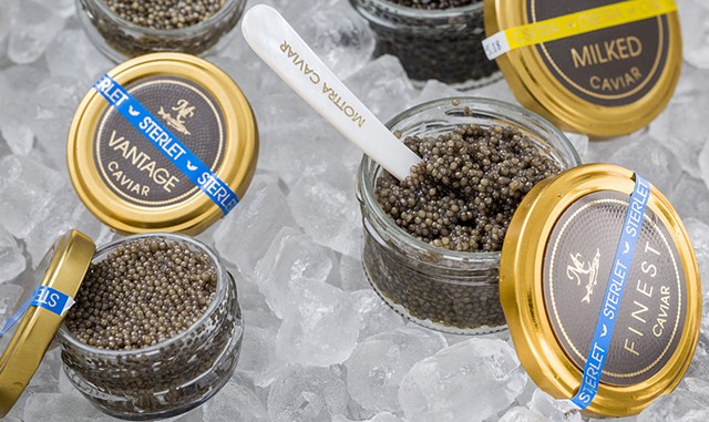 Mottra Caviar - OLIVER PARINI