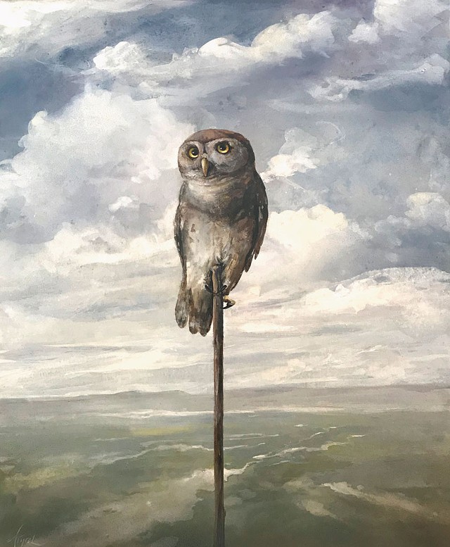 "Forest Owlet" by Adelaide Murphy Tyrol - IMAGES COURTESY OF THE GALLERY AT CENTRAL VERMONT MEDICAL CENTER