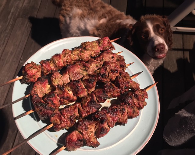 Sesame beef skewers (and a hungry dog) - HANNAH PALMER EGAN