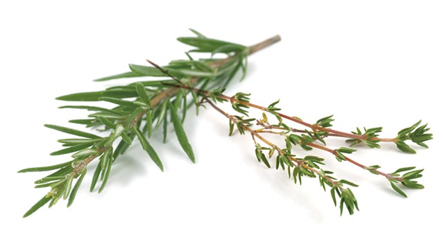 Rosemary and thyme sprigs - DREAMSTIME