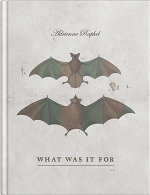 What Was It For by Adrienne Raphel, Rescue Press, 108 pages. $16
