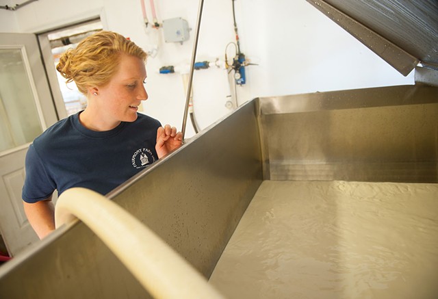 Clara Ayer pumping whole milk into the calf barn tank at Fairmont Farm - © CABOT CREAMERY CO-OPERATIVE