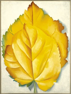 "2 Yellow Leaves (Yellow Leaves)" by Georgia O'Keeffe