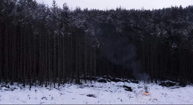What I'm Watching: Under the Skin