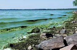 Blue-Green Algae Closes Two Burlington Beaches